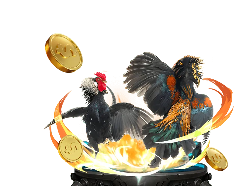 Đa dạng các môn thể thao tại co88