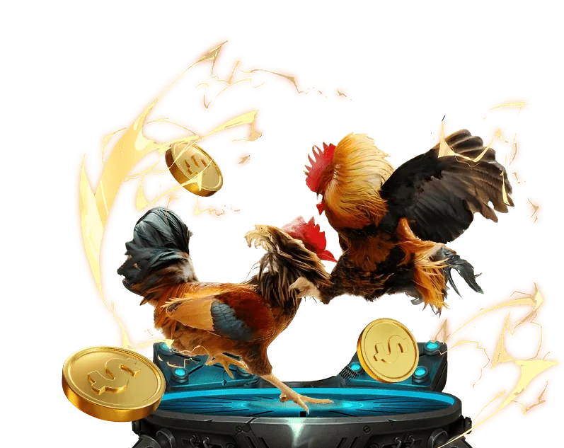 Giao diện đặt cược đá gà trực tuyến co88 nhà cái